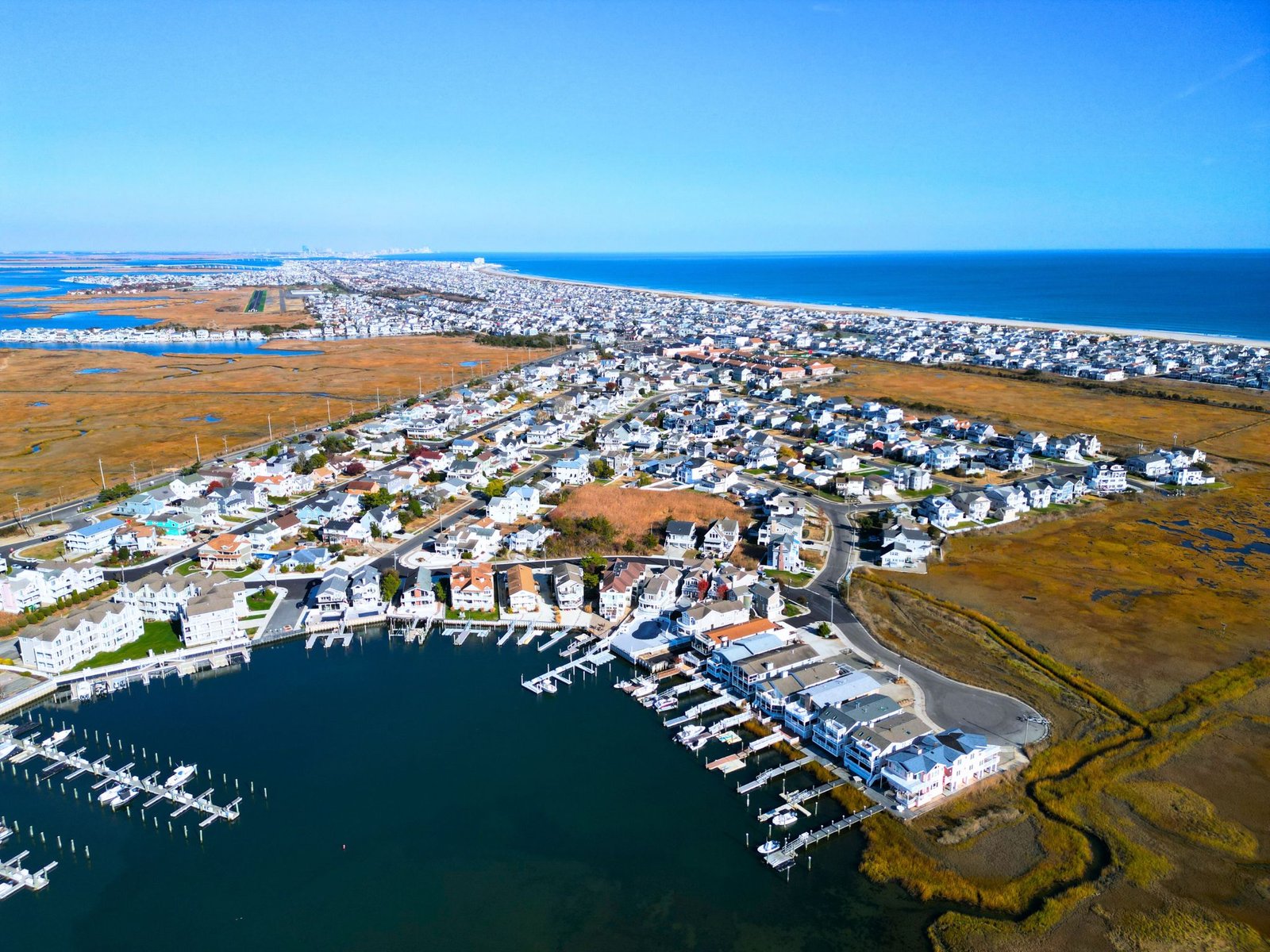 Merion Park Neighborhood Guide